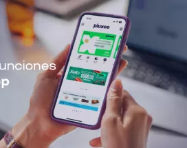 pluxee registro