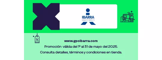 Grupo Ibarra