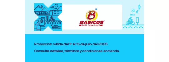 BASICOS EN ALIMENTOS