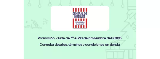 GENERAL DE MUEBLES PAPANTLA