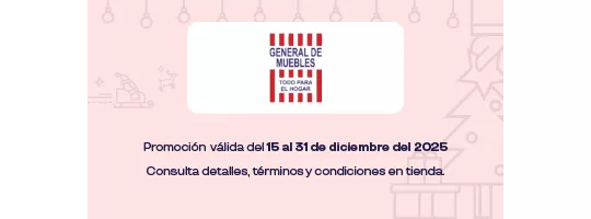 GENERAL DE MUEBLES PAPANTLA