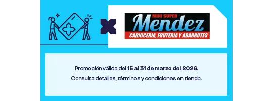 Abarrotes Mendez 