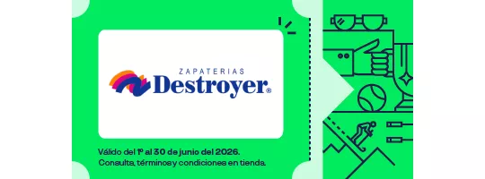 Zapateria Destroyer