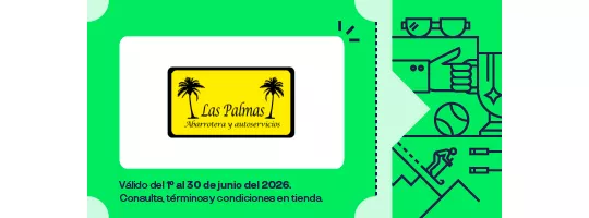 LAS PALMAS ABARROTERA 