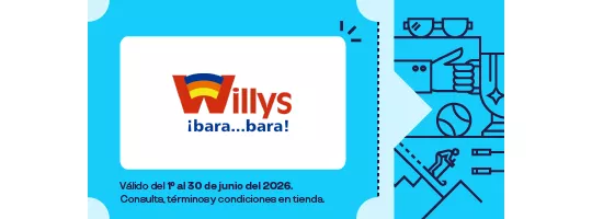 Abarrotes Willys 