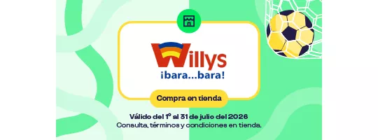 Abarrotes Willys 