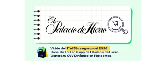 Palacio de Hierro