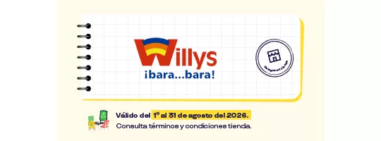 Abarrotes Willys 
