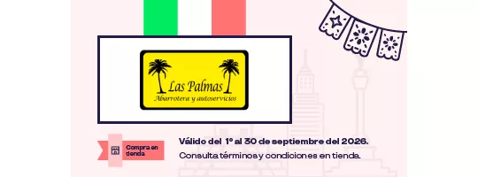 LAS PALMAS ABARROTERA 