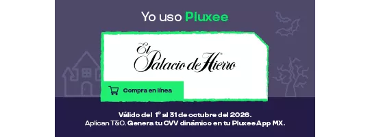 Palacio de Hierro
